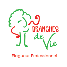 BRANCHES de Vie